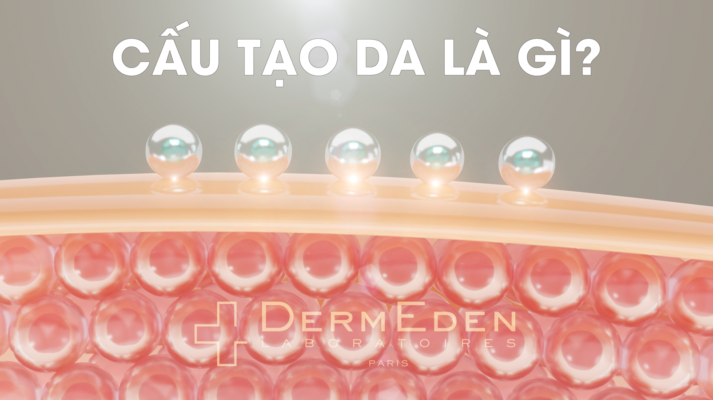 Cấu tạo da và những điều cần biết